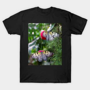 Two butterflies on red balls T-Shirt